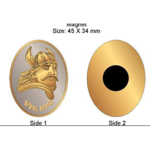 Vikinge magnet